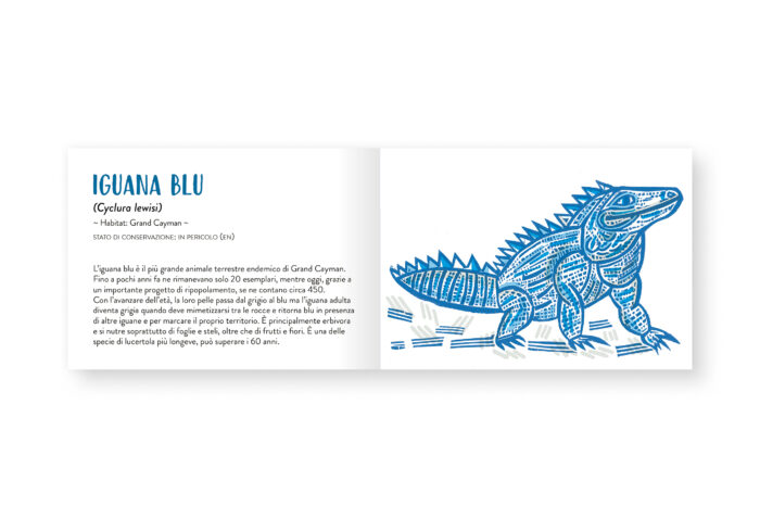 Il piccolo libro degli animali blu